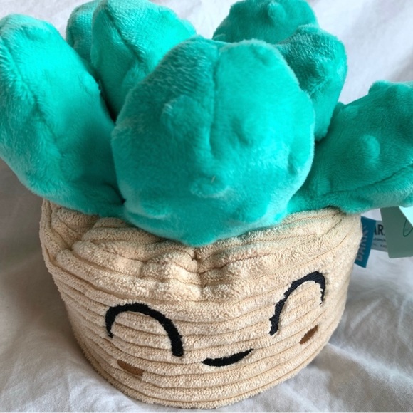 Bark Dog Bark Box Succulent Dog Toy Squeakulent Cactus Barkbox